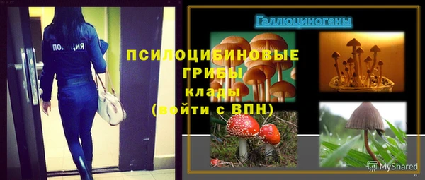 a pvp Арсеньев