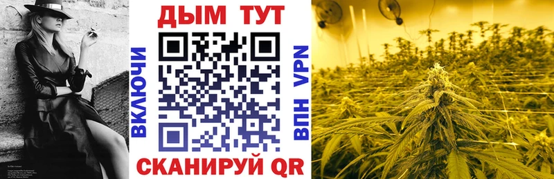 Бошки Шишки планчик  Купить где  Холм 
